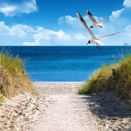 2 Sea C 57 Vakantiehuis Großenbrode